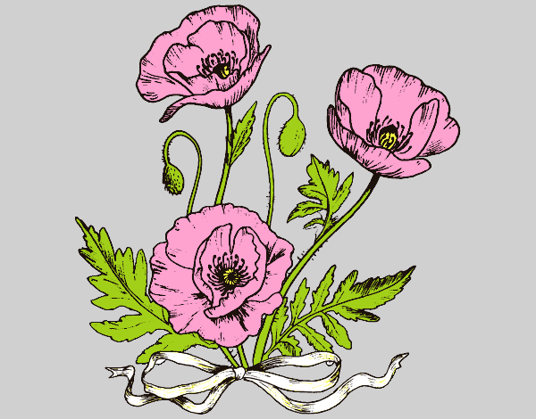 Coloring page Wild poppies painted byAnia
