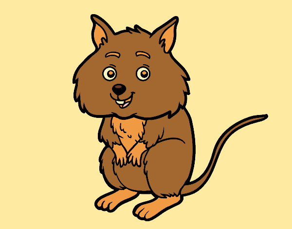 Coloring page A little hamster painted byAnia