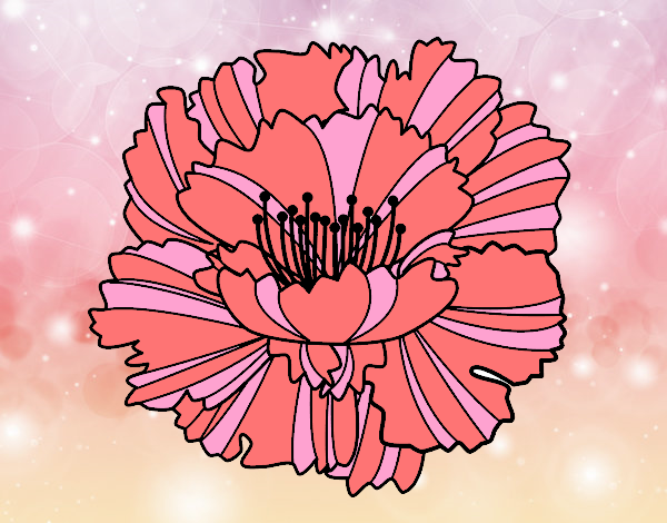 Coloring page Clove pink painted byAnia