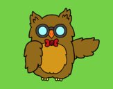 Owl teacher