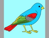 Coloring page Sparrow painted byAnia