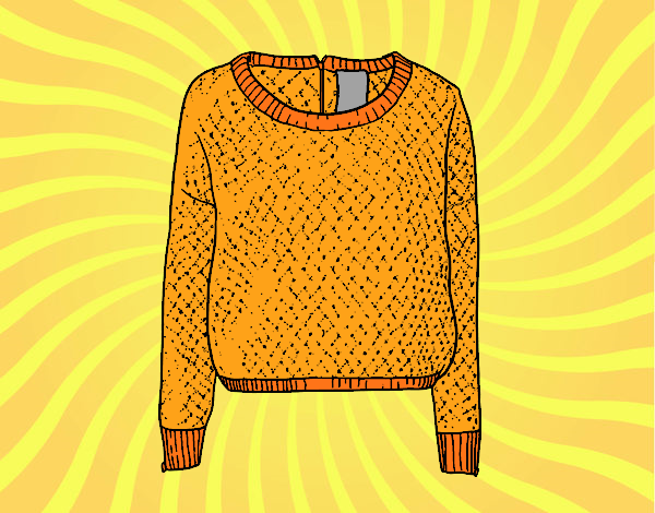 Sweater of wool