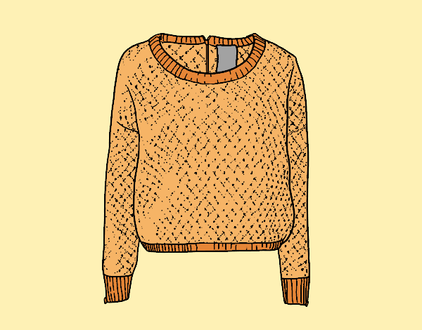 Sweater of wool