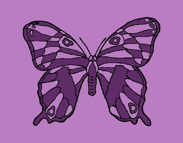 Coloring page Wild butterfly painted byCherokeeGl