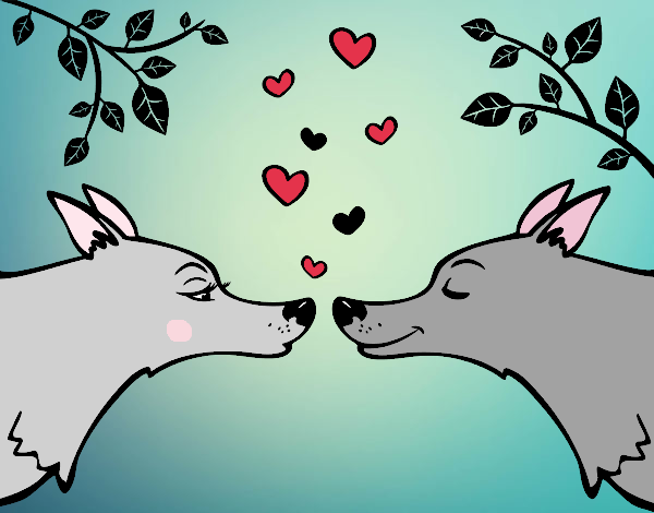 wolfs in love 
