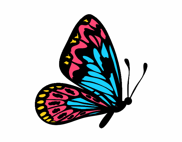 Coloring page Butterfly with normal wings painted byKhaos