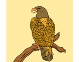 Coloring page Eagle on branch painted byKhaos
