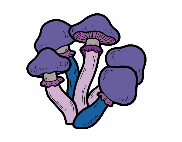 Coloring page Poisonous mushrooms painted byKhaos