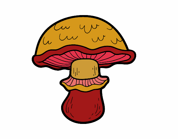Coloring page Portobello mushroom painted byKhaos