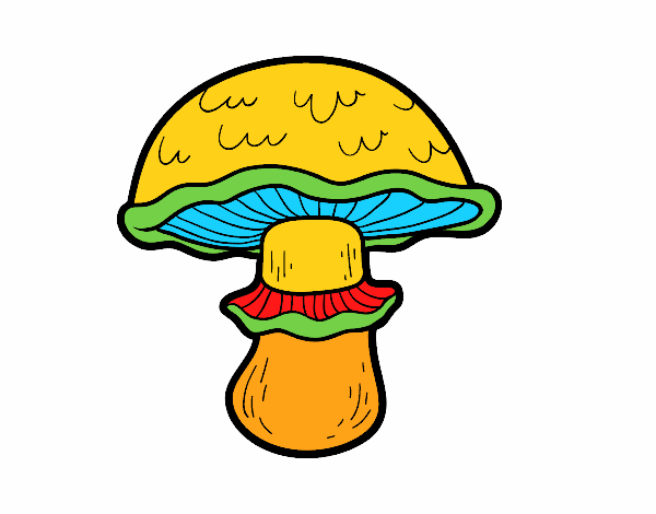 Coloring page Portobello mushroom painted byKhaos