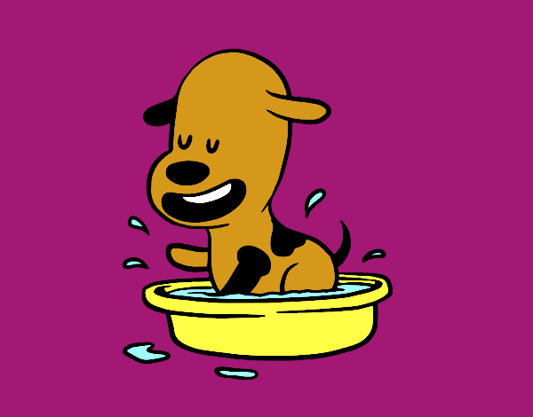 A puppy in the bathtub