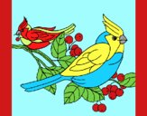 Coloring page Birds painted byAnia