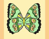 Coloring page Butterfly 1a painted byAnia
