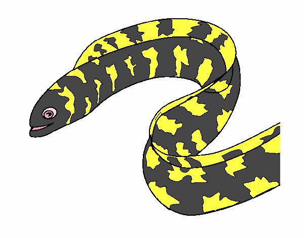 Coloring page Eel painted byKendall