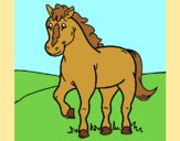 Coloring page Horse 4 painted byAnia