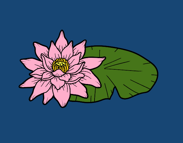 Coloring page A lotus flower painted byNnena