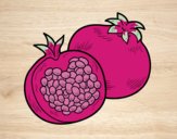 Coloring page A pomegranate painted bysophia