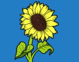 Coloring page A sunflower painted byNnena
