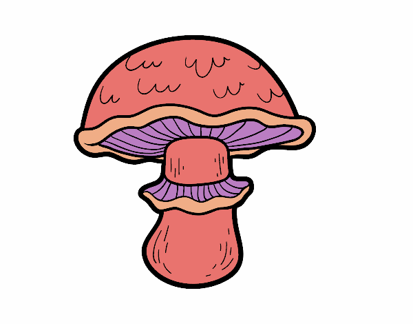 Coloring page Portobello mushroom painted bysophia