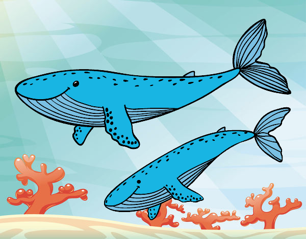 Coloring page Whales painted bysophia