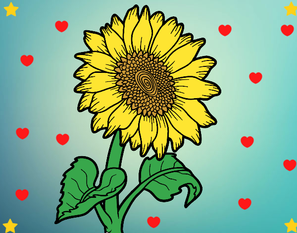 Coloring page A sunflower painted bybianca