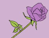 Coloring page Rose painted byAnia