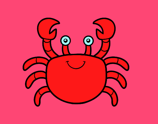 A sea crab