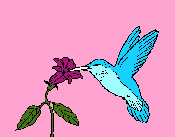 Coloring page Hummingbird and flower painted byHanna