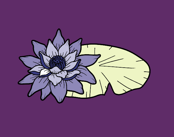 Coloring page A lotus flower painted byKhaos