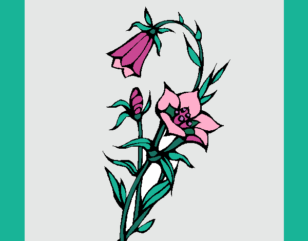 Coloring page Wild flowers painted byKhaos