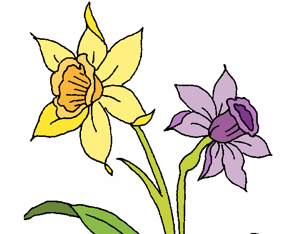 Coloring page Orchid painted byAnnanymas