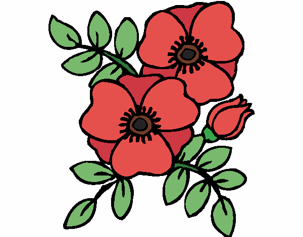 Coloring page Poppies painted byAnnanymas