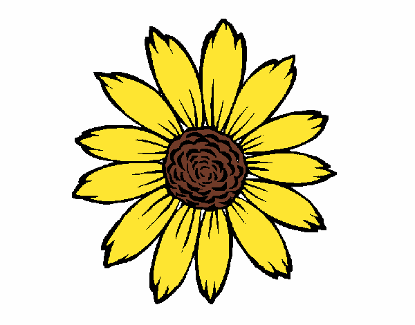 Coloring page Sunflower painted byAnnanymas