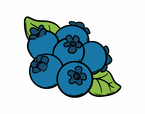 Coloring page Blueberries painted byAnnanymas