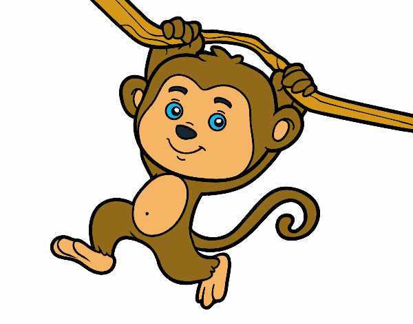 Monkey hanging from a branch