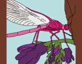 Coloring page Dragonfly painted byfawnamama1