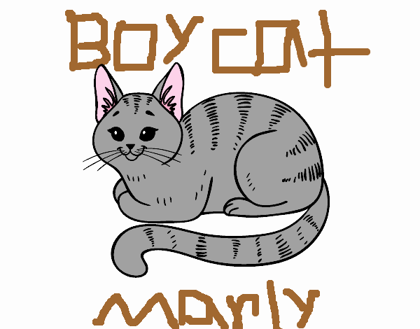 Marly the grey cat