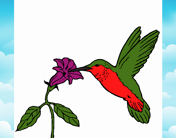 Coloring page Hummingbird and flower painted bysamg
