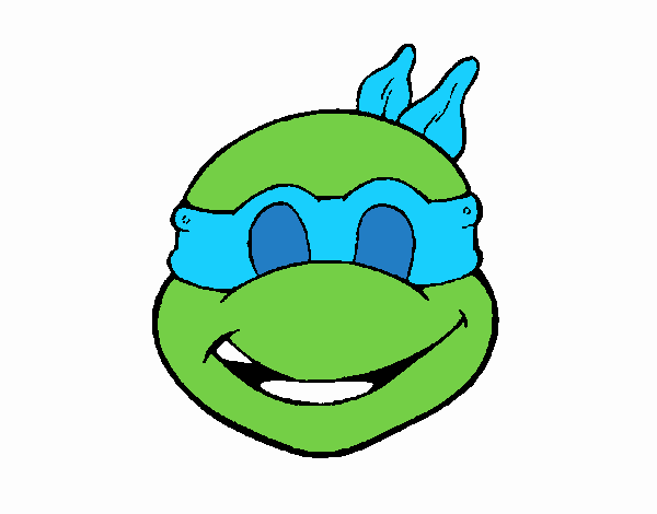 Ninja Turtles Mask