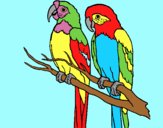 Coloring page Parrots painted byAnia