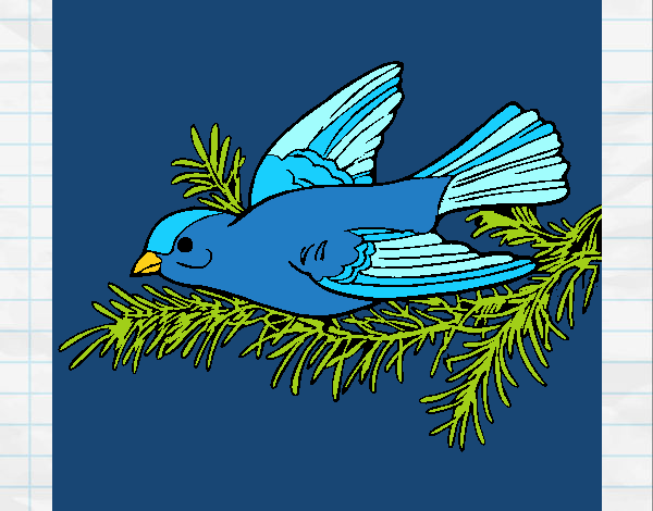 Coloring page Swallow painted bysamg