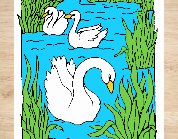 Coloring page Swans painted bysamg