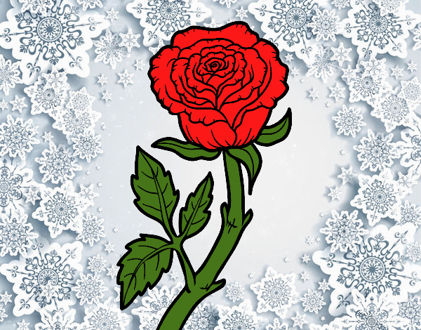 Coloring page Wild rose painted bysamg