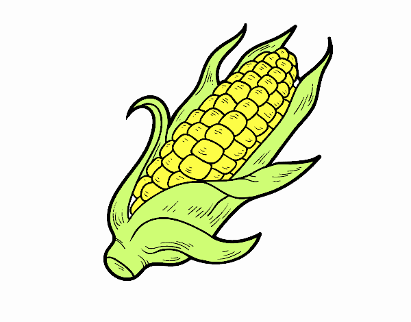 Coloring page A corncob painted byhasti