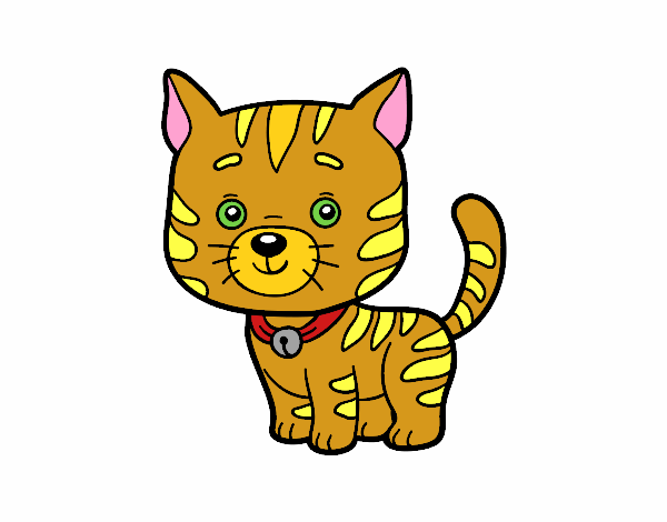 Coloring page A domestic cat painted byalexadra