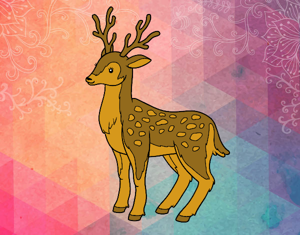 Coloring page A young deer painted bysamg