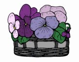 201722/basket-of-flowers-12-nature-flowers-painted-by-randol9572-119211_163.jpg