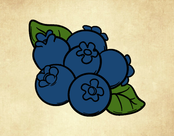 Coloring page Blueberries painted bysamg