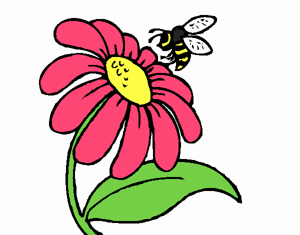 Coloring page Daisy with bee painted byrandol9572
