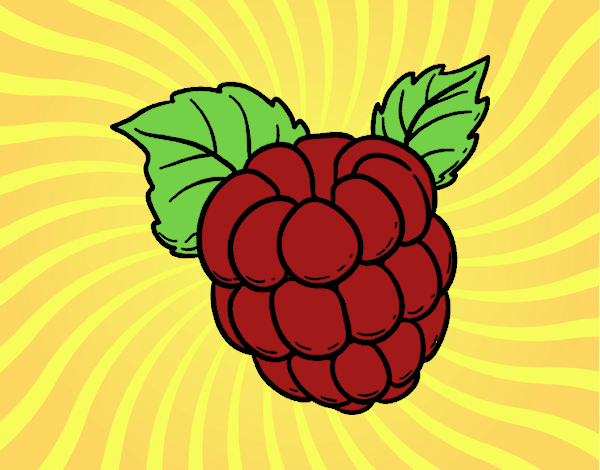 Coloring page Raspberry painted bysamg